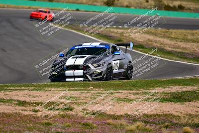 media/Feb-25-2024-Speed Ventures (Sun) [[b9a2a97a4d]]/Mustang Drivers Club/Session 3 (Turn 2)/